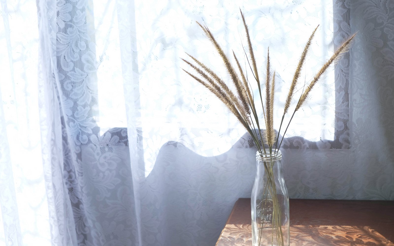 自然光と植物のあるサロンの窓辺